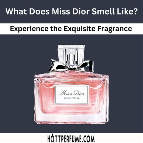 miss dior original bottle|what does miss dior perfume smell like.